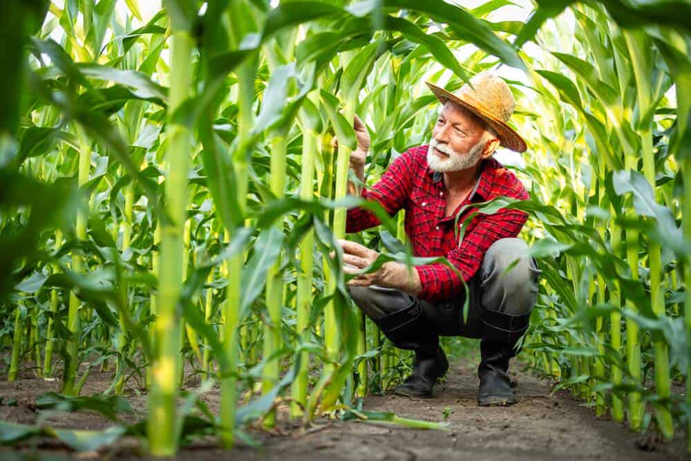 nachhaltige-landwirtschaft-natur-und-einfluss