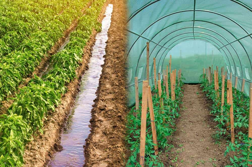 nachhaltige-landwirtschaft-unterschied-bio